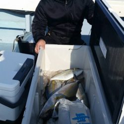 第五慶門丸 釣果