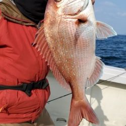 遊漁船　ニライカナイ 釣果