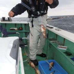 第二むつ漁丸 釣果
