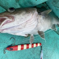 広進丸 釣果