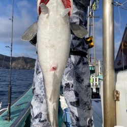 広進丸 釣果