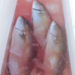 第五慶門丸 釣果