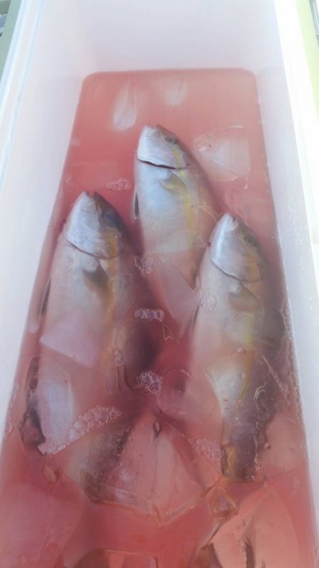 第五慶門丸 釣果