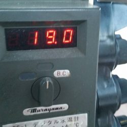 第五慶門丸 釣果