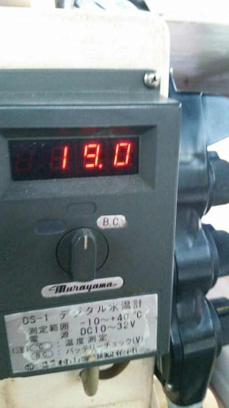 第五慶門丸 釣果