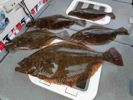 遊漁船 セトマリン 釣果