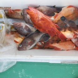 第二むつ漁丸 釣果