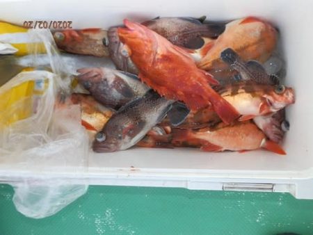 第二むつ漁丸 釣果