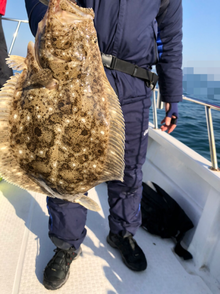 Magic(マジック) 釣果