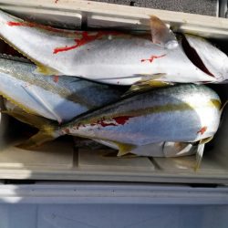 第二大福丸 釣果