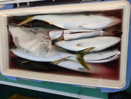 第二むつ漁丸 釣果