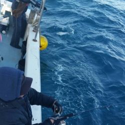 第五慶門丸 釣果