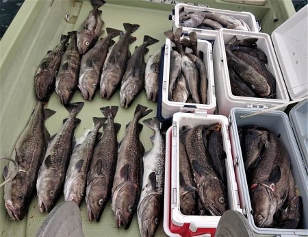 気仙沼　つり丸 釣果