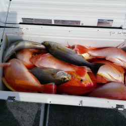 第二大福丸 釣果