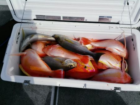 第二大福丸 釣果