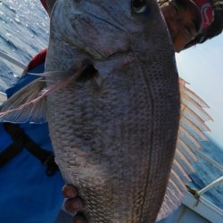 遊漁船 新鋭丸 釣果