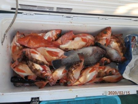 第二むつ漁丸 釣果