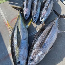 へいみつ丸 釣果