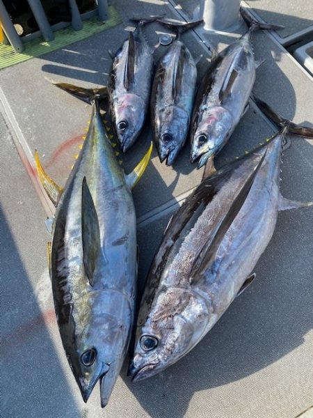 へいみつ丸 釣果