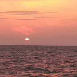 遊漁船 新鋭丸 釣果