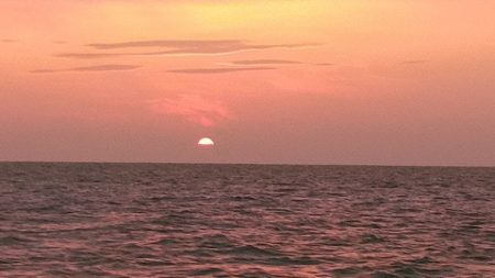 遊漁船 新鋭丸 釣果