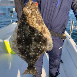 Magic(マジック) 釣果