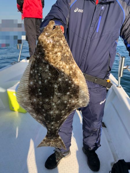 Magic(マジック) 釣果