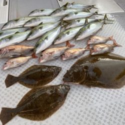 ミタチ丸 釣果