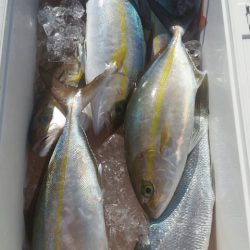 第五慶門丸 釣果