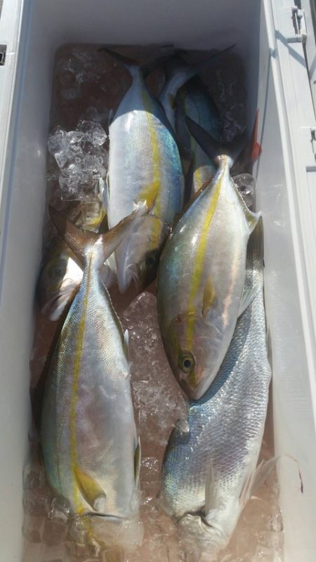 第五慶門丸 釣果