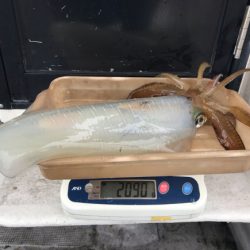 まると屋 釣果