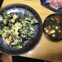 まると屋 釣果