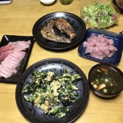 まると屋 釣果