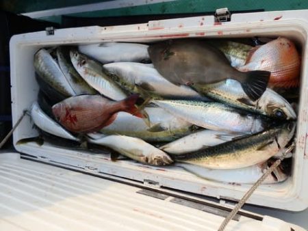 第二むつ漁丸 釣果