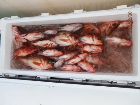 第二むつ漁丸 釣果