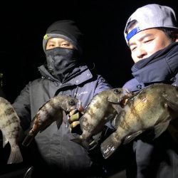 Magic(マジック) 釣果