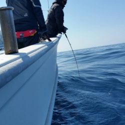 第五慶門丸 釣果