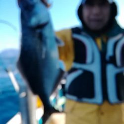 松福丸 釣果