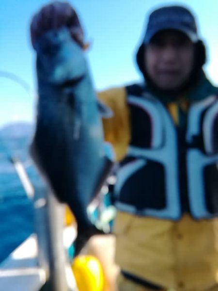 松福丸 釣果
