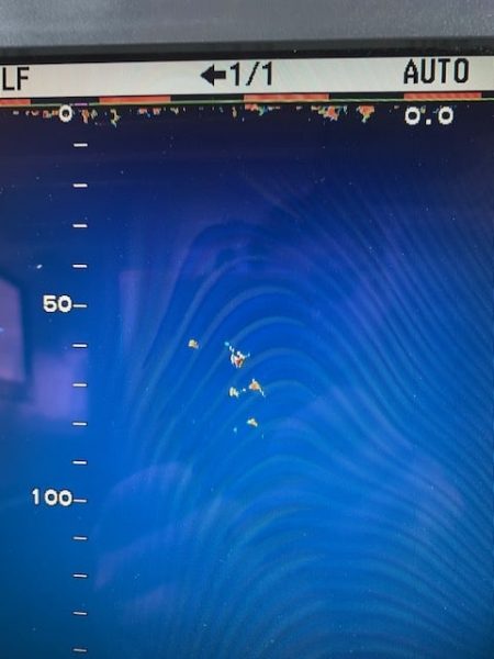 へいみつ丸 釣果