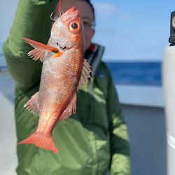 へいみつ丸 釣果