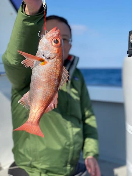 へいみつ丸 釣果