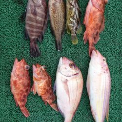 正幸丸 釣果