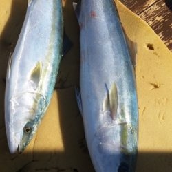 小海途 釣果