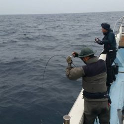 第五慶門丸 釣果