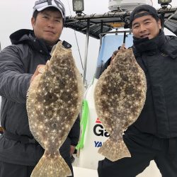 Magic（マジック） 釣果