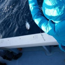 第五慶門丸 釣果