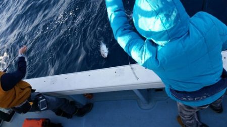 第五慶門丸 釣果