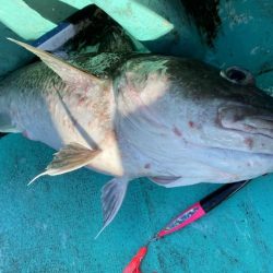 広進丸 釣果