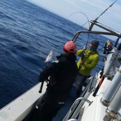 第五慶門丸 釣果